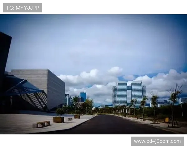 围绕北京阎村足球场位置展开的区域发展规划思考与未来蓝图构想篇